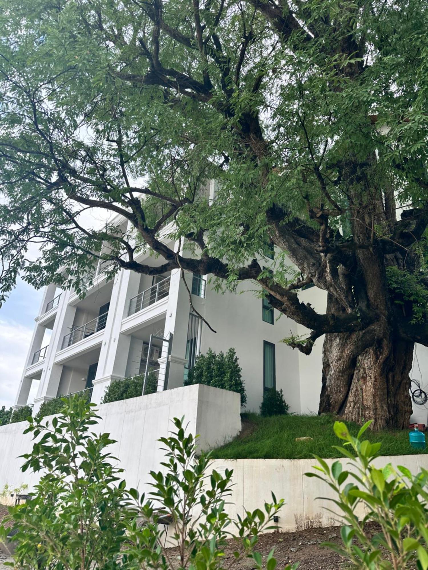 לואנג פרבאנג Sokview Residence מראה חיצוני תמונה